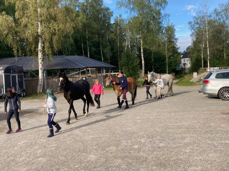VI inviterer små og store hesteglade til rideuker på Dikemark Rideklubb i sommer